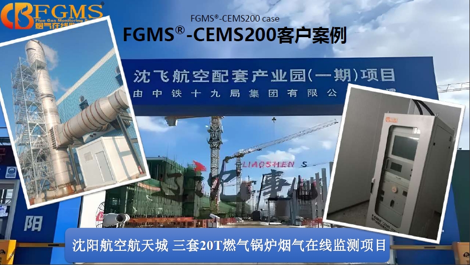 南通帝人有限公司导热油锅炉烟气在线监测项目